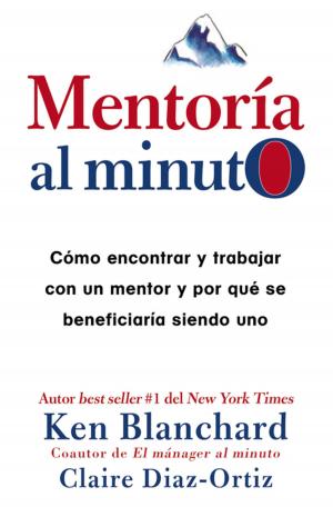 Book cover of Mentoría al minuto