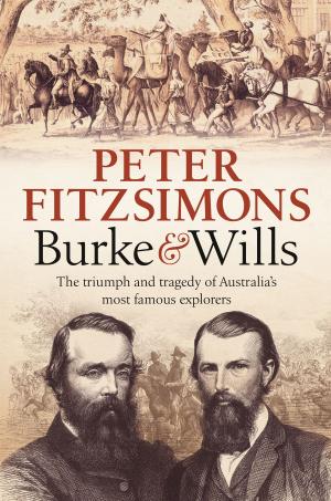 Book cover of Burke and Wills