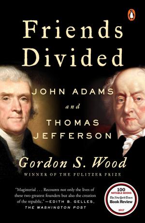 Cover of the book Friends Divided by Kevin Dann