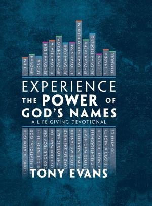 Cover of the book Experience the Power of God's Names by Ron Rhodes