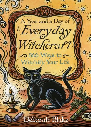 Cover of the book A Year and a Day of Everyday Witchcraft by John Michael Greer