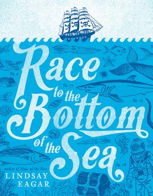 Cover of the book Race to the Bottom of the Sea by Melina Marchetta