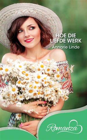Cover of the book Hoe die liefde werk by Frenette van Wyk