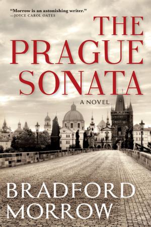 Book cover of The Prague Sonata