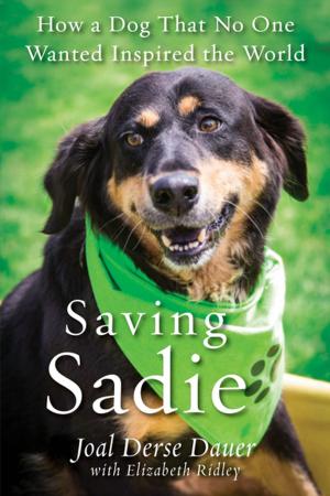Cover of the book Saving Sadie by Nikki Meredith