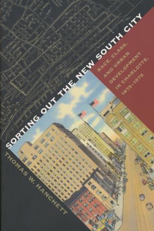 Cover of the book Sorting Out the New South City by Joshua M. Dunn