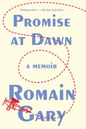 Cover of the book Promise at Dawn by Norman Manea