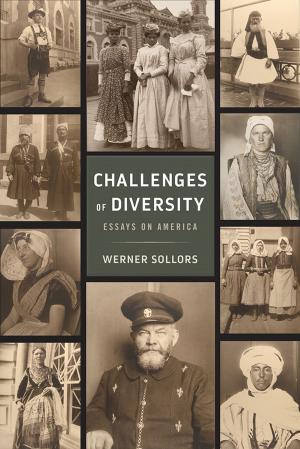 Cover of the book Challenges of Diversity by Tova Cooper