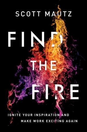 Cover of the book Find the Fire by Renee Evenson