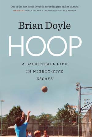 Cover of the book Hoop by Steve Biddison