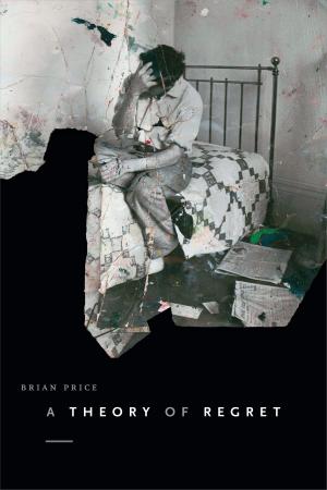 Cover of the book A Theory of Regret by Julia Adams, George Steinmetz, Julia Elyachar