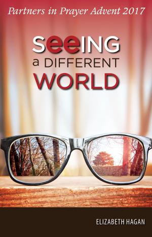 Cover of the book Seeing a Different World by Chalice Press