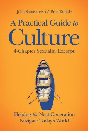 Cover of the book A Practical Guide to Culture by Melanie Dobson