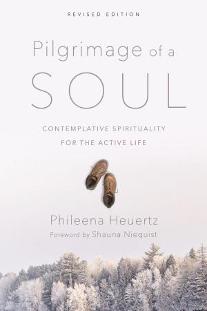 Cover of the book Pilgrimage of a Soul by Alister McGrath, Joanna Collicutt McGrath