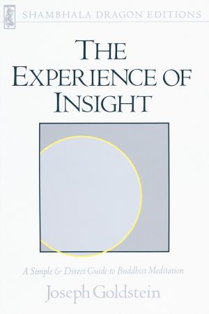 Cover of the book The Experience of Insight by Chogyam Trungpa