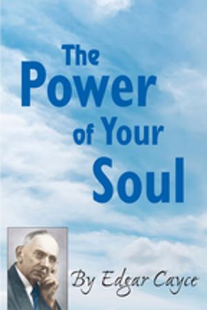 Cover of the book The Power of Your Soul by Nancy Kirkpatrick, Sidney D. Kirkpatrick