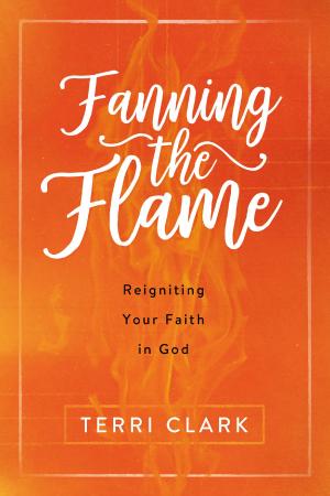 Cover of the book Fanning the Flame by Richard Hughes
