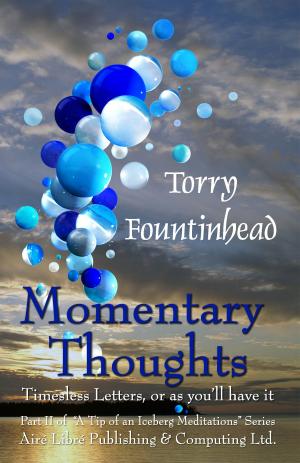Cover of the book Momentary Thoughts by Roscoe Douglas