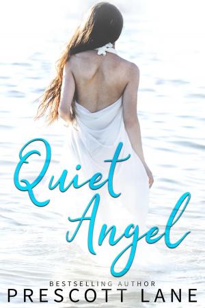 Cover of the book Quiet Angel by jos thomasse
