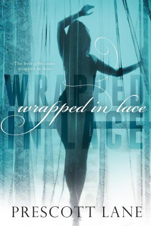 Book cover of Wrapped in Lace