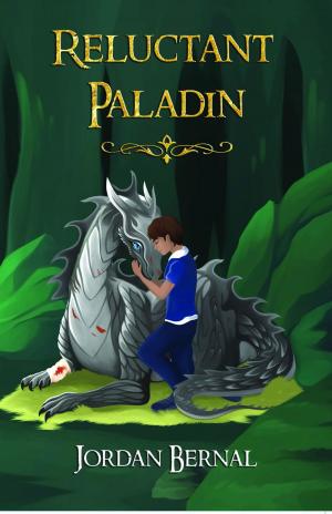 Book cover of Reluctant Paladin