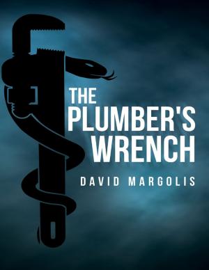 Book cover of The Plumber's Wrench