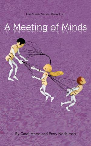Cover of the book A Meeting of Minds by Kirsty Riddiford