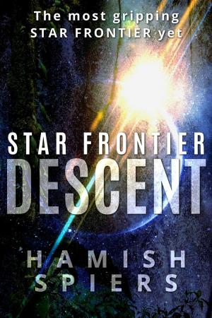 Cover of the book Star Frontier: Descent by Victoria Brice