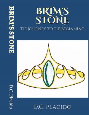 Cover of the book Brim's Stone by Emi Davis