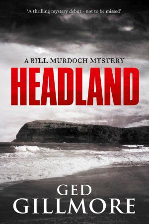 Book cover of Headland