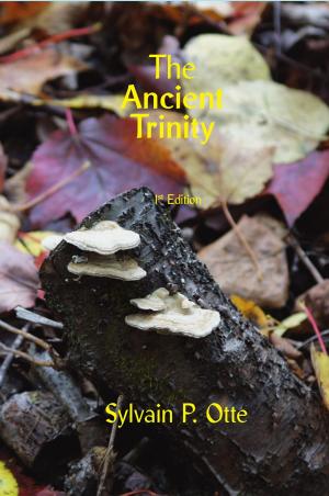 Cover of the book The Ancient Trinity by Eliphas Lévi