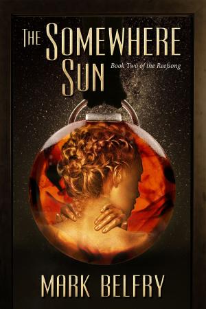 Cover of the book The Somewhere Sun by Ashley Adderley