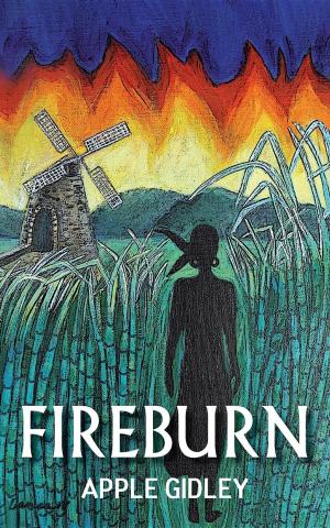 Cover of the book Fireburn by Dafydd Manton