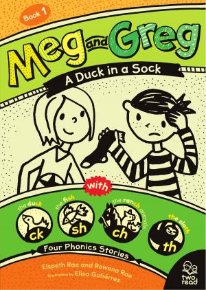 Book cover of A Duck in a Sock