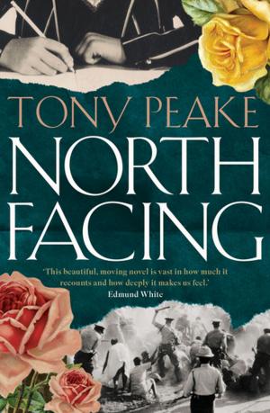 Cover of the book North Facing by Liam Murray Bell