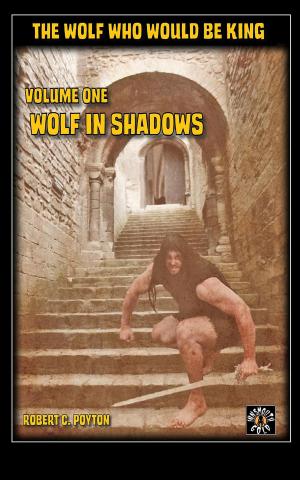 Cover of the book Wolf in Shadows by E.C. Adams