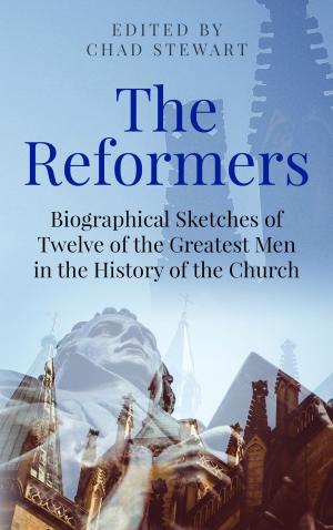Cover of the book The Reformers by Mark Berent