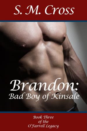 bigCover of the book Brandon: Bad Boy of Kinsale by 