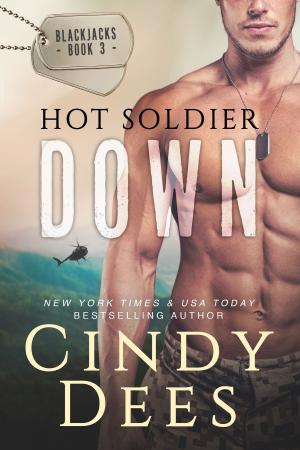 Cover of the book Hot Soldier Down by Janice Magerman