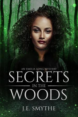 Book cover of Secrets in the Woods