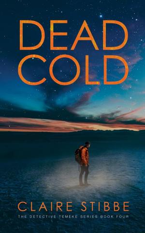 Cover of the book Dead Cold by Stephen Booth