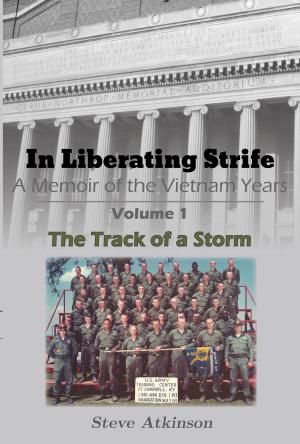 Cover of In Liberating Strife: A Memoir of the Vietnam Years