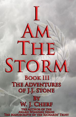 Cover of the book I Am the Storm by Charlotte Stein