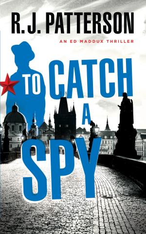 Cover of the book To Catch a Spy by R.J. Patterson