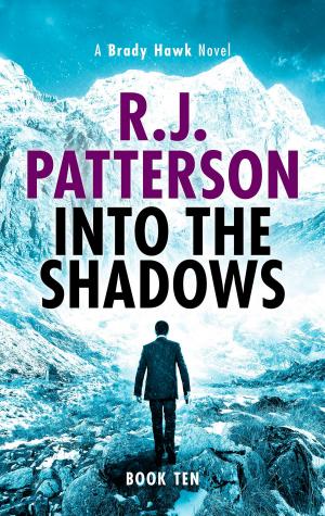Cover of the book Into the Shadows by Jim Burton