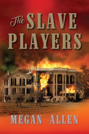 bigCover of the book The Slave Players by 