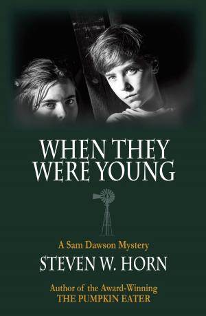 Cover of the book When They Were Young by Barry Spillberg