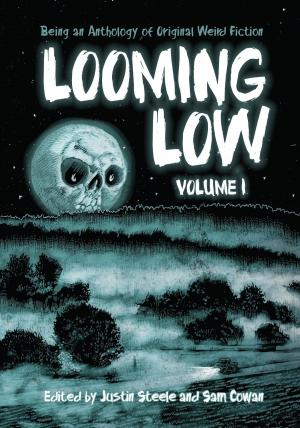 bigCover of the book Looming Low Volume I by 