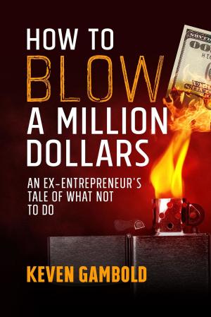 Cover of the book How to Blow a Million Dollars by Abiodun Mayokun