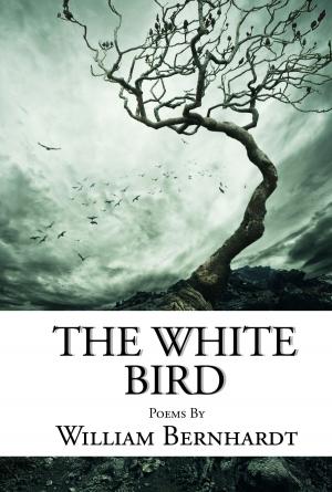 Book cover of The White Bird
